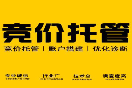 SEM搜索引擎优化：广告创意的策划与执行